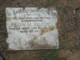 image of grave number 593622